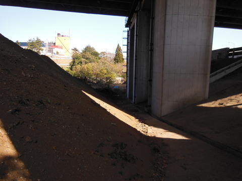 DSCN1241