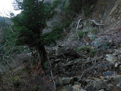 DSCN9123