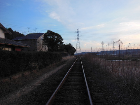 DSCN7790