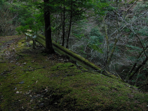 DSCN9086
