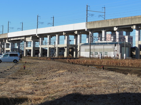 DSCN5289
