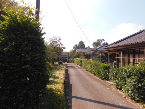 DSCN4825