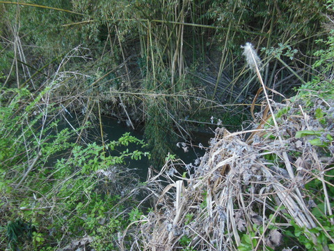 DSCN7682