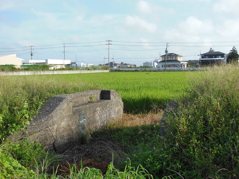 DSCN0110