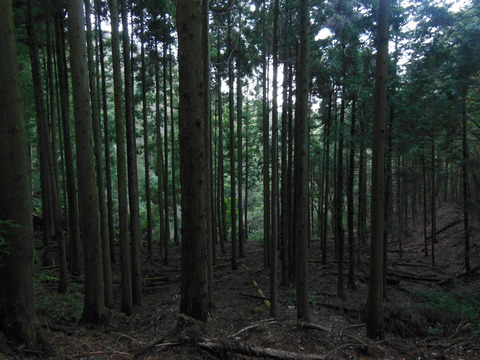 DSCN9094