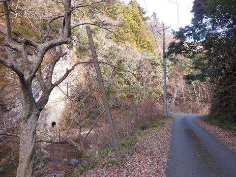 DSCN2785