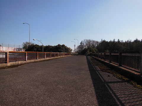 DSCN1249