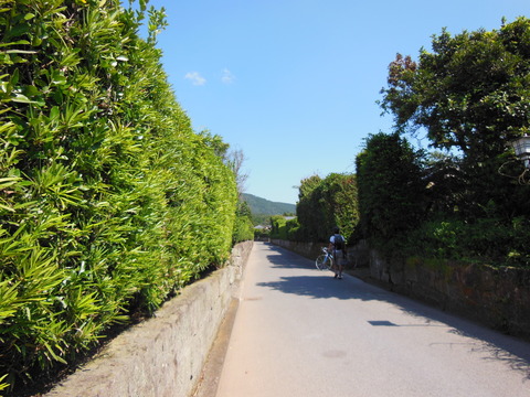 DSCN4467