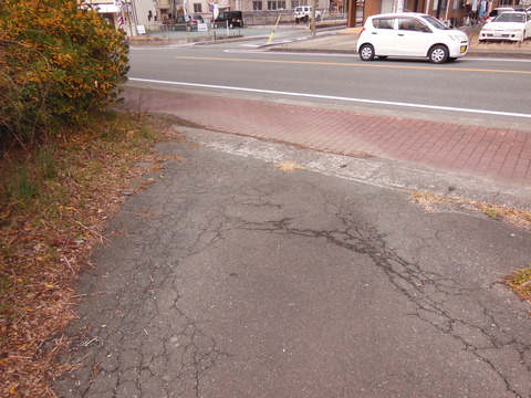 DSCN3776