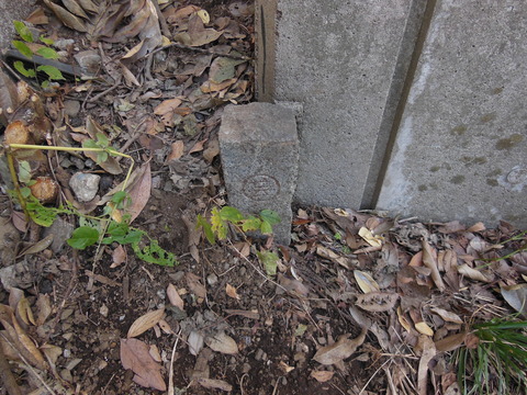DSCN9446