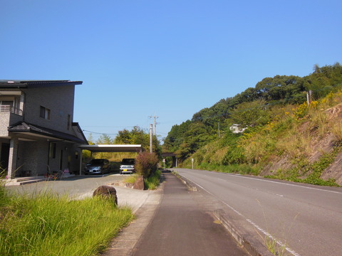DSCN4839