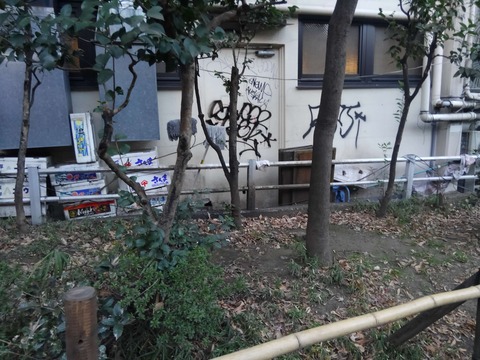 KIMG0601