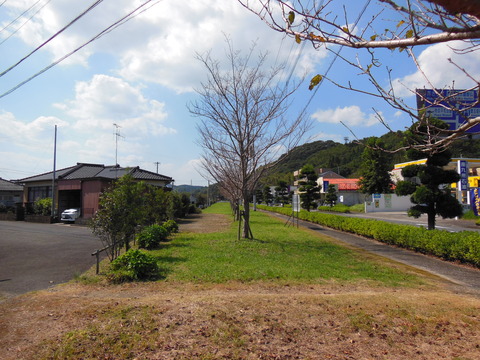 DSCN4434