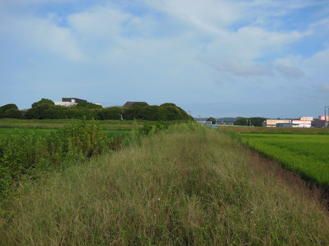 DSCN0109