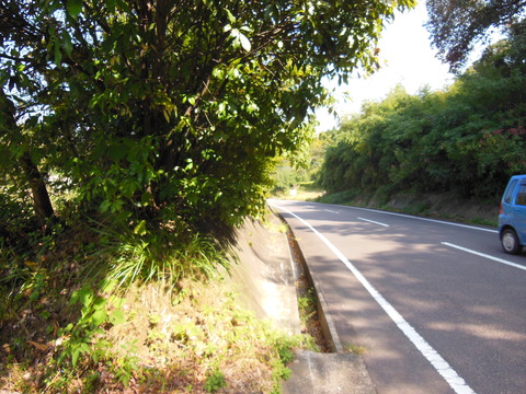 DSCN4823