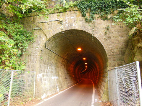 DSCN6800