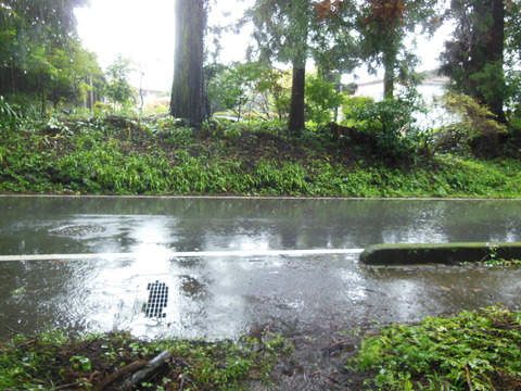 DSCN8322