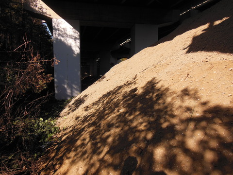 DSCN1240