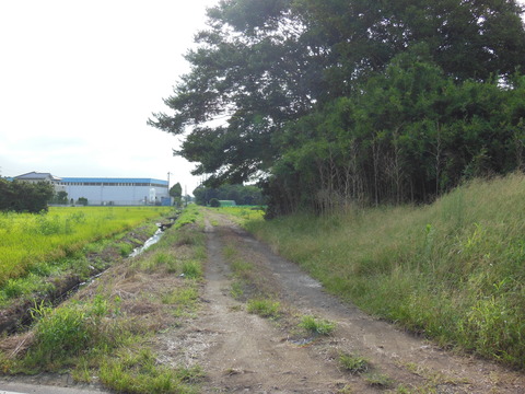 DSCN0124