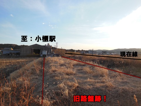 DSCN7719