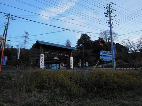 DSCN7793