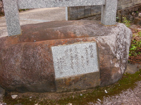 DSCN6755