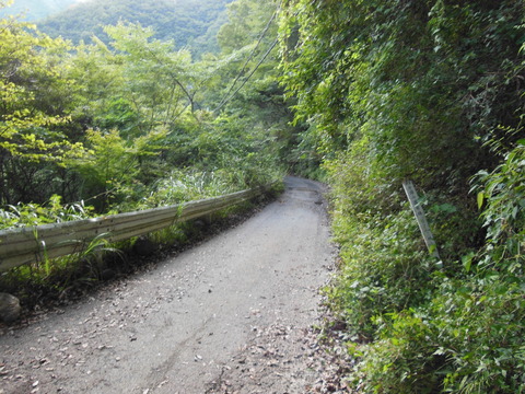 DSCN2114