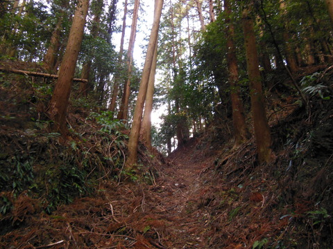 DSCN3938