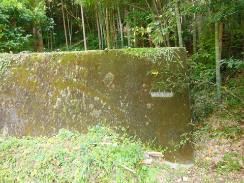 DSCN4736