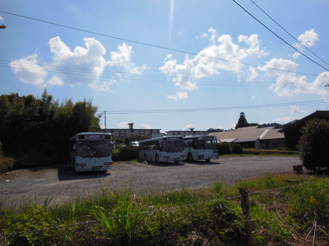 DSCN4419