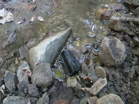 DSCF7845