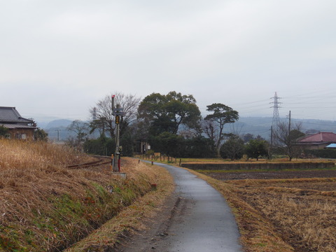 DSCN8517