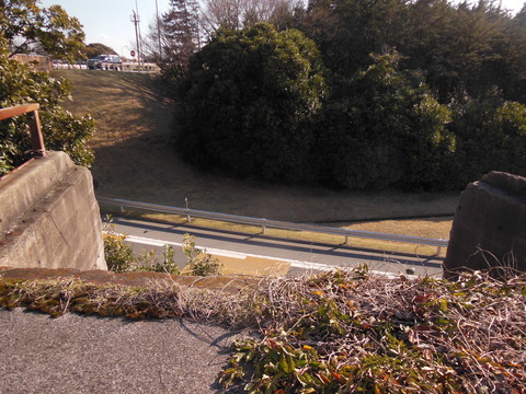 DSCN1254