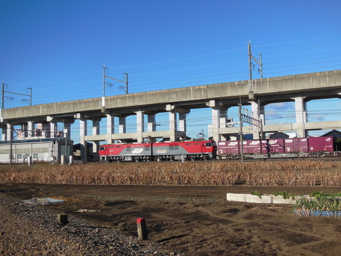 DSCN5292