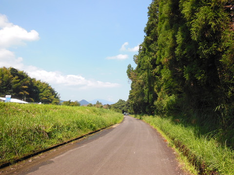 DSCN4788