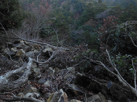 DSCN9106