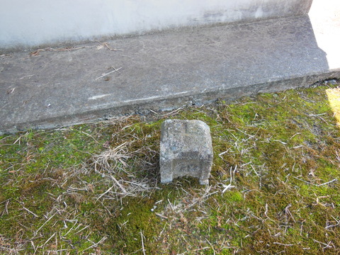 DSCN4432