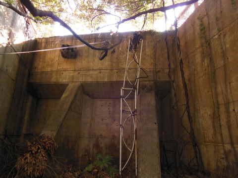 DSCN1245