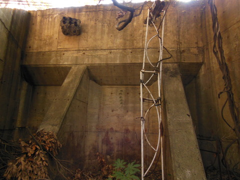 DSCN1262