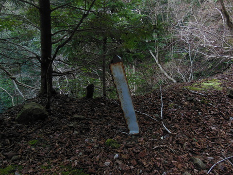 DSCN9098
