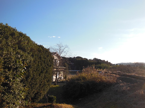 DSCN7660