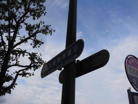DSCN6153