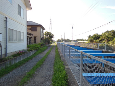 DSCN0084