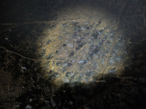 DSCF6957