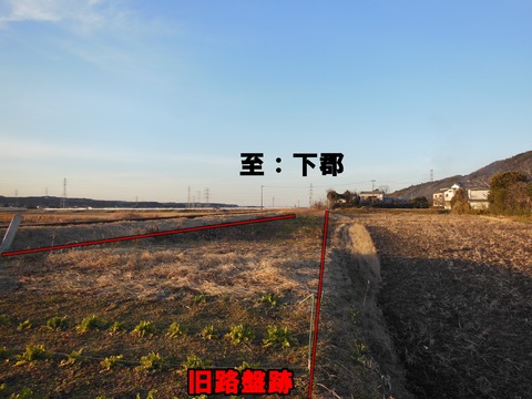 DSCN7732