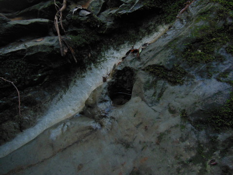 DSCN8686