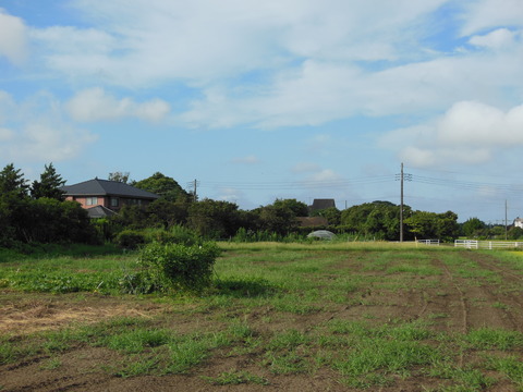 DSCN0123