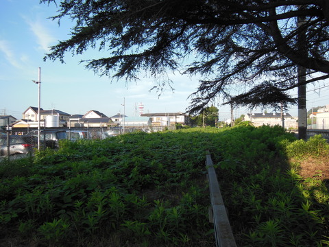 DSCN0064