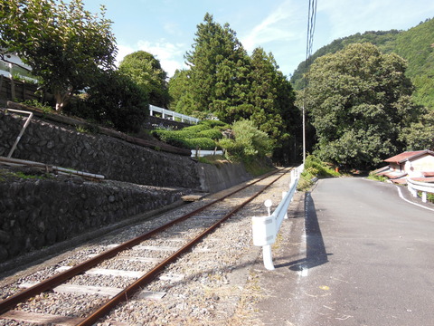 DSCN2005