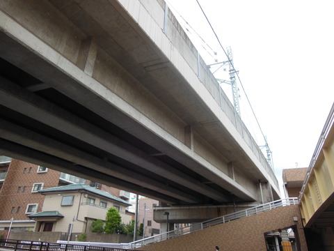DSCN0743